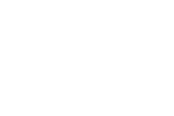 Car Model Lotus Logo